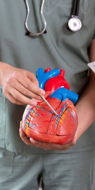 Doç. Dr. Selim Aydın