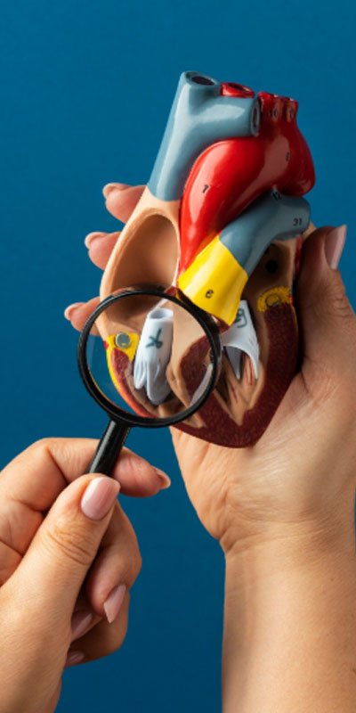 Kalp Damar Cerrahisi