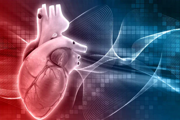 Bacak Damar Daralması