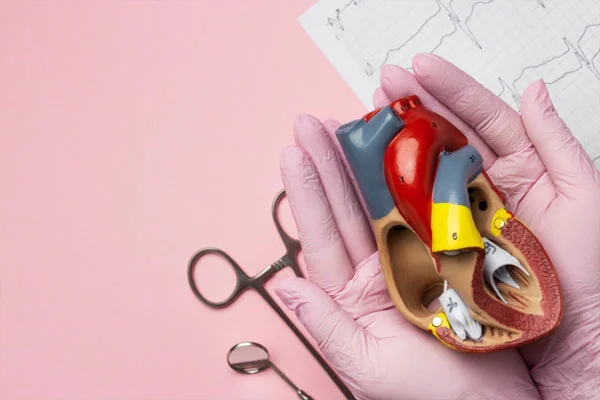 Toplardamar Stentleme